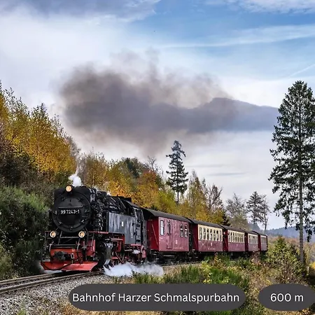 شقة Happyhome Mitten Im Harz - Direkte Wanderwege - Bachplaetschern - Kueche - Kinderfreundlich - Paare Und Freunde *