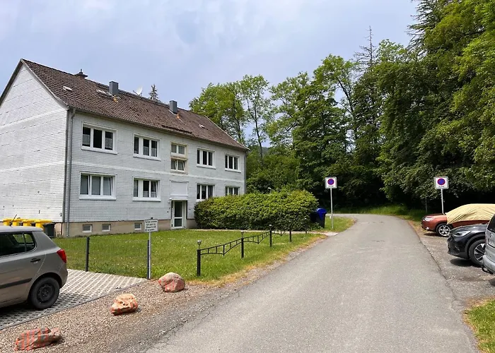 Apartamento Happyhome Mitten Im Harz - Direkte Wanderwege - Bachplaetschern - Kueche - Kinderfreundlich - Paare Und Freunde *