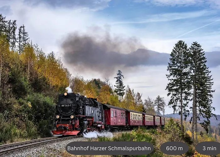 Apartamento Happyhome Mitten Im Harz - Direkte Wanderwege - Bachplaetschern - Kueche - Kinderfreundlich - Paare Und Freunde *